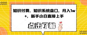 知识付费,知识系统盘口,月入1w+,新手小白直接上手-全网第一网赚项目资源库-中赚网 & 中创网 & 冒泡网 & 福缘网 - 小本轻创业与优质加盟项目首选平台