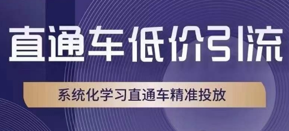 直通车低价引流课，系统化学习直通车精准投放-全网第一网赚项目资源库-中赚网 & 中创网 & 冒泡网 & 福缘网 - 小本轻创业与优质加盟项目首选平台