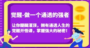觉醒-做一个通透的强者,让你醍醐灌顶,拥有通透人生的觉醒开悟课,掌握强大的秘密!-全网第一网赚项目资源库-中赚网 & 中创网 & 冒泡网 & 福缘网 - 小本轻创业与优质加盟项目首选平台