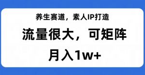 养生赛道,素人IP打造,流量很大,可矩阵,月入1w+【揭秘】-全网第一网赚项目资源库-中赚网 & 中创网 & 冒泡网 & 福缘网 - 小本轻创业与优质加盟项目首选平台