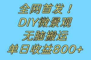 全网首发冷门赛道！DIY微景观，无脑搬运视频，日收益800+【揭秘】-全网第一网赚项目资源库-中赚网 & 中创网 & 冒泡网 & 福缘网 - 小本轻创业与优质加盟项目首选平台