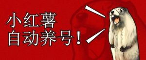 小红书养号秘籍,如何自动涨粉清晰系统标签打造高权重账号【揭秘】-全网第一网赚项目资源库-中赚网 & 中创网 & 冒泡网 & 福缘网 - 小本轻创业与优质加盟项目首选平台