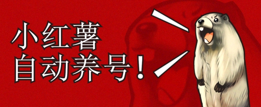小红书养号秘籍，如何自动涨粉清晰系统标签打造高权重账号【揭秘】-全网第一网赚项目资源库-中赚网 & 中创网 & 冒泡网 & 福缘网 - 小本轻创业与优质加盟项目首选平台
