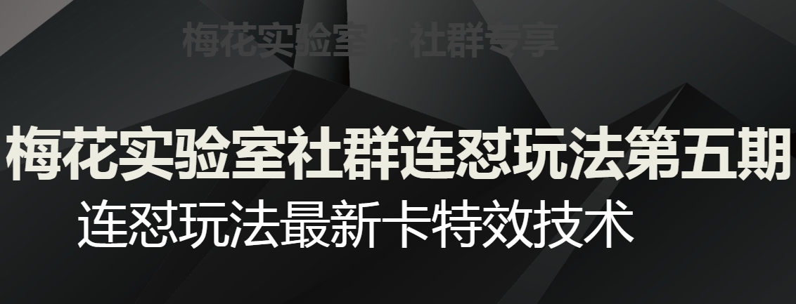 梅花实验室社群连怼玩法第五期，视频号连怼玩法最新卡特效技术-全网第一网赚项目资源库-中赚网 & 中创网 & 冒泡网 & 福缘网 - 小本轻创业与优质加盟项目首选平台