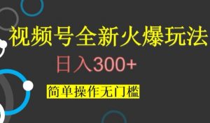 视频号最新爆火玩法，日入300+，简单操作无门槛【揭秘】-全网第一网赚项目资源库-中赚网 & 中创网 & 冒泡网 & 福缘网 - 小本轻创业与优质加盟项目首选平台
