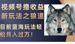 视频号撸收益新玩法之狼道,目前蓝海玩法,轻松月入过万【揭秘】-全网第一网赚项目资源库-中赚网 & 中创网 & 冒泡网 & 福缘网 - 小本轻创业与优质加盟项目首选平台