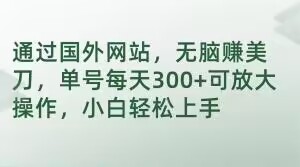 通过国外网站，无脑赚美刀，单号每天300+可放大操作，小白轻松上手【揭秘】-全网第一网赚项目资源库-中赚网 & 中创网 & 冒泡网 & 福缘网 - 小本轻创业与优质加盟项目首选平台