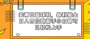 卖莆田篮球鞋，暴利掘金日入四位数新手小白都可以轻松上手【揭秘】-全网第一网赚项目资源库-中赚网 & 中创网 & 冒泡网 & 福缘网 - 小本轻创业与优质加盟项目首选平台