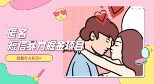 全网首发，揭秘超冷门匿名短信项目，通过信息差日入几百+【揭秘】-全网第一网赚项目资源库-中赚网 & 中创网 & 冒泡网 & 福缘网 - 小本轻创业与优质加盟项目首选平台