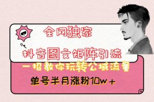 全网独家抖音图文矩阵引流，一招教你玩转公域流量，单号半月涨粉10w+【揭秘】-全网第一网赚项目资源库-中赚网 & 中创网 & 冒泡网 & 福缘网 - 小本轻创业与优质加盟项目首选平台