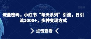 流量密码,小红书“每天系列”引流,日引流1000+,多种变现方式【揭秘】-全网第一网赚项目资源库-中赚网 & 中创网 & 冒泡网 & 福缘网 - 小本轻创业与优质加盟项目首选平台