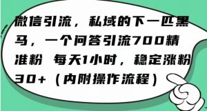 怎么搞精准创业粉？微信新赛道，每天一小时，利用Ai一个问答日引100精准粉-全网第一网赚项目资源库-中赚网 & 中创网 & 冒泡网 & 福缘网 - 小本轻创业与优质加盟项目首选平台