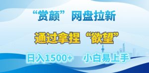 “赏颜”网盘拉新赛道,通过拿捏“欲望”日入1500+,小白易上手【揭秘】-全网第一网赚项目资源库-中赚网 & 中创网 & 冒泡网 & 福缘网 - 小本轻创业与优质加盟项目首选平台