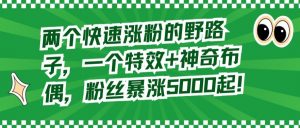 两个快速涨粉的野路子,一个特效+神奇布偶,粉丝暴涨5000起【揭秘】-全网第一网赚项目资源库-中赚网 & 中创网 & 冒泡网 & 福缘网 - 小本轻创业与优质加盟项目首选平台