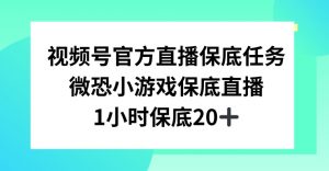 视频号直播任务，微恐小游戏，1小时20+【揭秘】-全网第一网赚项目资源库-中赚网 & 中创网 & 冒泡网 & 福缘网 - 小本轻创业与优质加盟项目首选平台