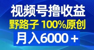 视频号野路子撸收益，100%原创，条条爆款，月入6000＋【揭秘】-全网第一网赚项目资源库-中赚网 & 中创网 & 冒泡网 & 福缘网 - 小本轻创业与优质加盟项目首选平台