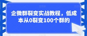 企微群裂变实战教程,低成本从0裂变100个群的-全网第一网赚项目资源库-中赚网 & 中创网 & 冒泡网 & 福缘网 - 小本轻创业与优质加盟项目首选平台