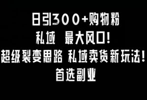日引300+购物粉,超级裂变思路,私域卖货新玩法,小红书首选副业【揭秘】-全网第一网赚项目资源库-中赚网 & 中创网 & 冒泡网 & 福缘网 - 小本轻创业与优质加盟项目首选平台