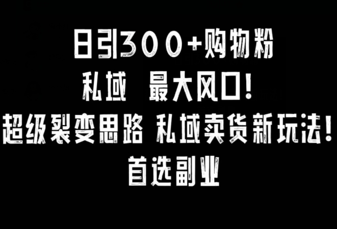 日引300+购物粉，超级裂变思路，私域卖货新玩法，小红书首选副业【揭秘】-全网第一网赚项目资源库-中赚网 & 中创网 & 冒泡网 & 福缘网 - 小本轻创业与优质加盟项目首选平台