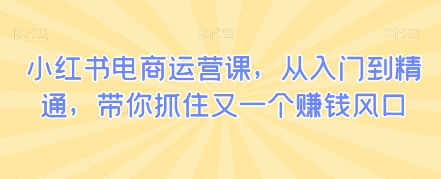 小红书电商运营课，从入门到精通，带你抓住又一个赚钱风口-全网第一网赚项目资源库-中赚网 & 中创网 & 冒泡网 & 福缘网 - 小本轻创业与优质加盟项目首选平台