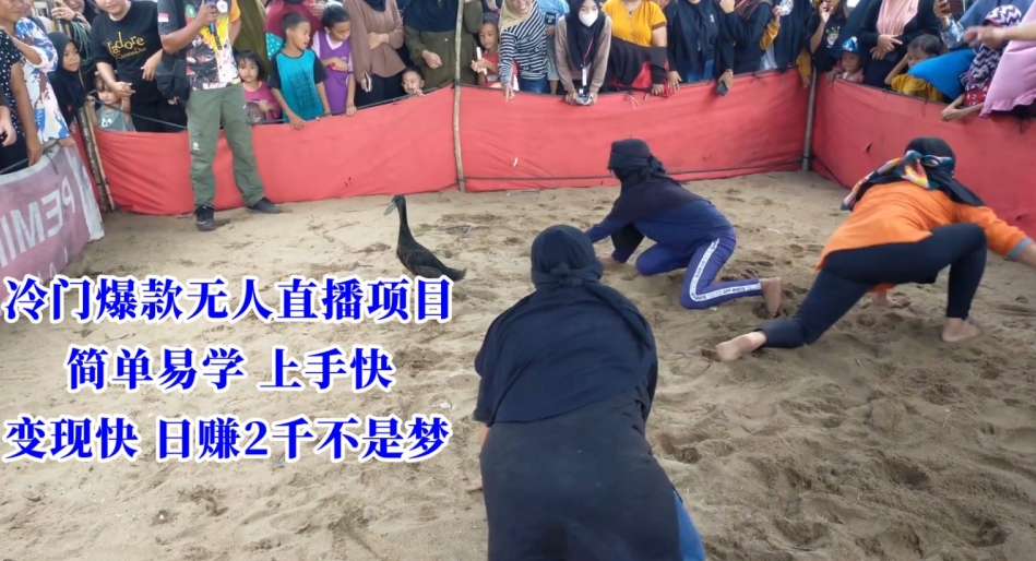 冷门爆款无人直播项目，简单易学上手快，变现快日赚2千不是梦【揭秘】-全网第一网赚项目资源库-中赚网 & 中创网 & 冒泡网 & 福缘网 - 小本轻创业与优质加盟项目首选平台