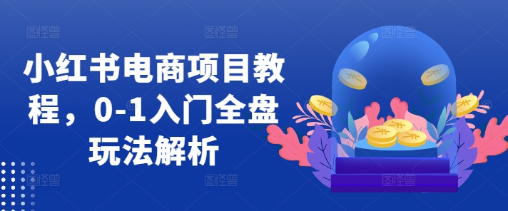 小红书电商项目教程，0-1入门全盘玩法解析-全网第一网赚项目资源库-中赚网 & 中创网 & 冒泡网 & 福缘网 - 小本轻创业与优质加盟项目首选平台