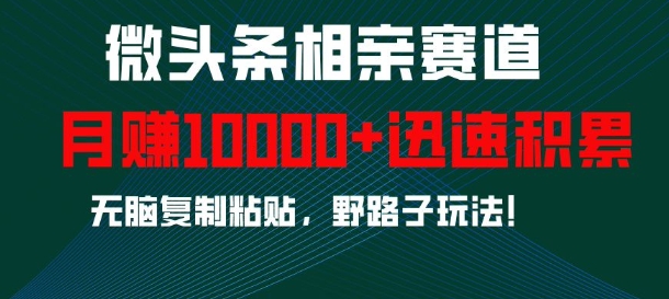 微头条相亲赛道，迅速积累，无脑复制粘贴，野路子玩法，月入1w-全网第一网赚项目资源库-中赚网 & 中创网 & 冒泡网 & 福缘网 - 小本轻创业与优质加盟项目首选平台