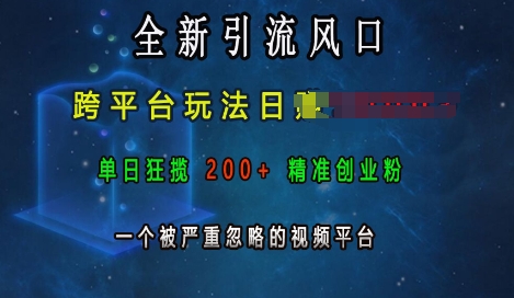 全新引流风口，跨平台玩法日入上k，单日狂揽200+精准创业粉，一个被严重忽略的视频平台-全网第一网赚项目资源库-中赚网 & 中创网 & 冒泡网 & 福缘网 - 小本轻创业与优质加盟项目首选平台