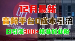 12月最新:音频平台0成本引流,日引流300+精准创业粉-全网第一网赚项目资源库-中赚网 & 中创网 & 冒泡网 & 福缘网 - 小本轻创业与优质加盟项目首选平台