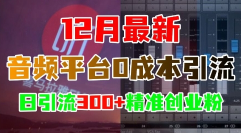12月最新：音频平台0成本引流，日引流300+精准创业粉-全网第一网赚项目资源库-中赚网 & 中创网 & 冒泡网 & 福缘网 - 小本轻创业与优质加盟项目首选平台