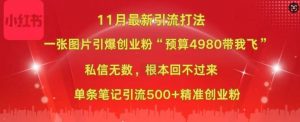 小红书11月最新图片打粉,一张图片引爆创业粉,“预算4980带我飞”,单条引流500+精准创业粉-全网第一网赚项目资源库-中赚网 & 中创网 & 冒泡网 & 福缘网 - 小本轻创业与优质加盟项目首选平台