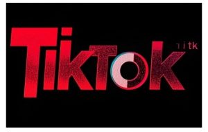 TikTok ads投流秘籍,涵盖tiktok整体投放思路,教你搭建测试计划-全网第一网赚项目资源库-中赚网 & 中创网 & 冒泡网 & 福缘网 - 小本轻创业与优质加盟项目首选平台