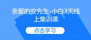 亲爱的安先生-小白3天线上集训课-全网第一网赚项目资源库-中赚网 & 中创网 & 冒泡网 & 福缘网 - 小本轻创业与优质加盟项目首选平台