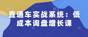 直通车实战系统:低成本询盘增长课,让个人通过技能实现升职加薪,让企业低成本获客,订单源源不断-全网第一网赚项目资源库-中赚网 & 中创网 & 冒泡网 & 福缘网 - 小本轻创业与优质加盟项目首选平台
