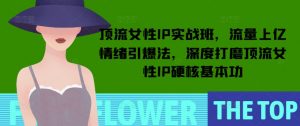 顶流女性IP实战班,流量上亿情绪引爆法,深度打磨顶流女性IP硬核基本功-全网第一网赚项目资源库-中赚网 & 中创网 & 冒泡网 & 福缘网 - 小本轻创业与优质加盟项目首选平台