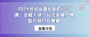 2024多多运营必听的12节课,全程干货,玩法实操,爆款方案尽在掌握-全网第一网赚项目资源库-中赚网 & 中创网 & 冒泡网 & 福缘网 - 小本轻创业与优质加盟项目首选平台