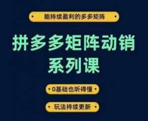 拼多多矩阵动销系列课,能持续盈利的多多矩阵,0基础也听得懂,玩法持续更新-全网第一网赚项目资源库-中赚网 & 中创网 & 冒泡网 & 福缘网 - 小本轻创业与优质加盟项目首选平台