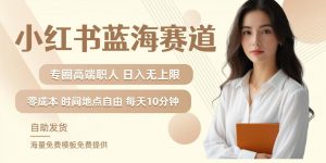 小红书蓝海赛道,圈中高端职场人,月入无上限,可矩阵,内含私域实操教程!-全网第一网赚项目资源库-中赚网 & 中创网 & 冒泡网 & 福缘网 - 小本轻创业与优质加盟项目首选平台