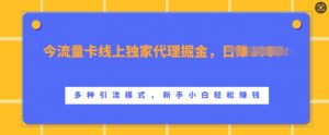 流量卡线上独家代理掘金,日入1k+ ,多种引流模式,新手小白轻松上手【揭秘】-全网第一网赚项目资源库-中赚网 & 中创网 & 冒泡网 & 福缘网 - 小本轻创业与优质加盟项目首选平台