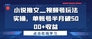 小说推文—视频号玩法实操，单账号半月破5000+收益-全网第一网赚项目资源库-中赚网 & 中创网 & 冒泡网 & 福缘网 - 小本轻创业与优质加盟项目首选平台