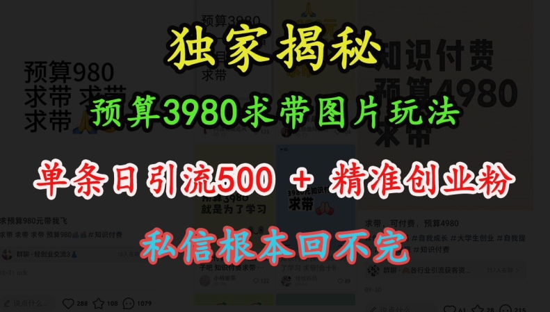 预算3980求带 图片玩法，单条日引流500+精准创业粉，私信根本回不完-全网第一网赚项目资源库-中赚网 & 中创网 & 冒泡网 & 福缘网 - 小本轻创业与优质加盟项目首选平台