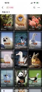 动物科普解说项目,撸创作者伙伴计划收益,保姆级实战教程-全网第一网赚项目资源库-中赚网 & 中创网 & 冒泡网 & 福缘网 - 小本轻创业与优质加盟项目首选平台