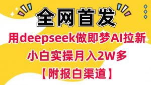 用deepseek做即梦Ai拉新 小白实操月入过W+【附报白渠道】-全网第一网赚项目资源库-中赚网 & 中创网 & 冒泡网 & 福缘网 - 小本轻创业与优质加盟项目首选平台