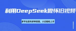 利用DeepSeek做怀旧视频，流量号多渠道变现能力强-全网第一网赚项目资源库-中赚网 & 中创网 & 冒泡网 & 福缘网 - 小本轻创业与优质加盟项目首选平台