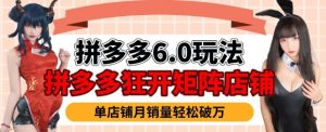 拼多多虚拟商品暴利6.0玩法,轻松实现月入过W-全网第一网赚项目资源库-中赚网 & 中创网 & 冒泡网 & 福缘网 - 小本轻创业与优质加盟项目首选平台