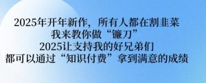 2025年开年新作,所有人都在割韭菜,我来教你做“镰刀” 2025让支持我的好兄弟们都可以通过“知识付费”拿到满意的成绩【揭秘】-全网第一网赚项目资源库-中赚网 & 中创网 & 冒泡网 & 福缘网 - 小本轻创业与优质加盟项目首选平台
