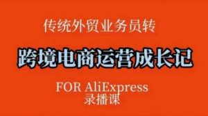 跨境电商速卖通运营课,运营方法论+后台实操,逻辑清晰-全网第一网赚项目资源库-中赚网 & 中创网 & 冒泡网 & 福缘网 - 小本轻创业与优质加盟项目首选平台