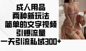 成人用品两种新玩法,简单的文字视频引爆流量,一天引流私域300+-全网第一网赚项目资源库-中赚网 & 中创网 & 冒泡网 & 福缘网 - 小本轻创业与优质加盟项目首选平台