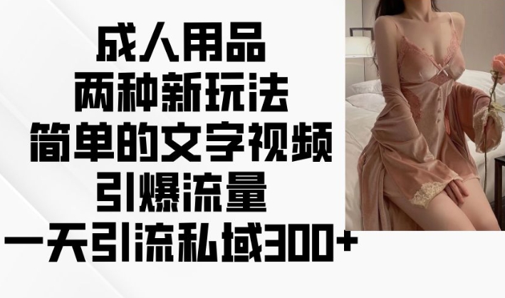 成人用品两种新玩法，简单的文字视频引爆流量，一天引流私域300+-全网第一网赚项目资源库-中赚网 & 中创网 & 冒泡网 & 福缘网 - 小本轻创业与优质加盟项目首选平台
