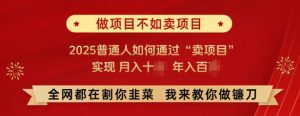必看,做项目不如卖项目,2025普通人如何通过“卖项目”实现月入十个,年入百个-全网第一网赚项目资源库-中赚网 & 中创网 & 冒泡网 & 福缘网 - 小本轻创业与优质加盟项目首选平台